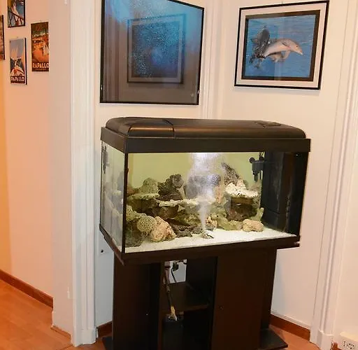 Hotel Hotel Villa Cristina *